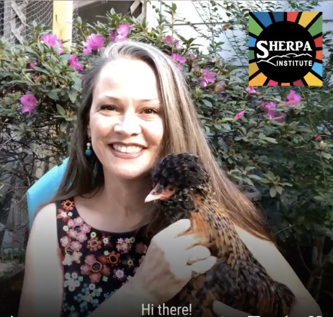 LinkedIn Video 1