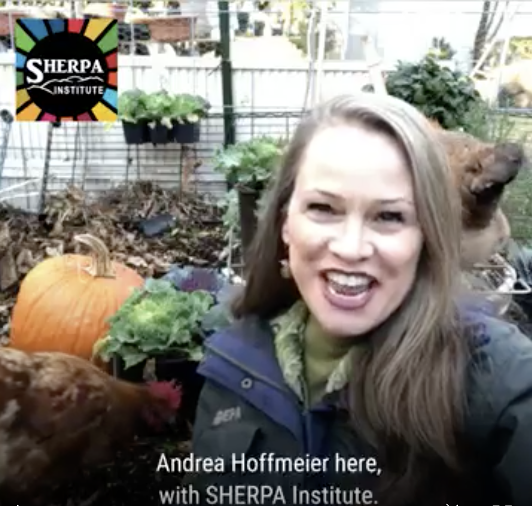 LinkedIn Video 3
