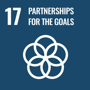 Strengthen the means of implementation and revitalize the Global Partnership for Sustainable Development